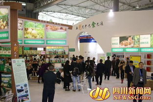 巴中230种优质农产品亮相第四届四川农博会，开启“巴中易生活”新篇章