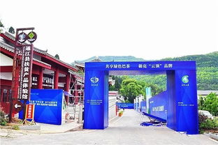 走，采茶去！第五届“巴中云顶”茶文化旅游节明日盛大启幕